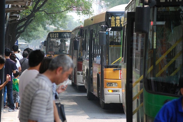 luxury bus rental