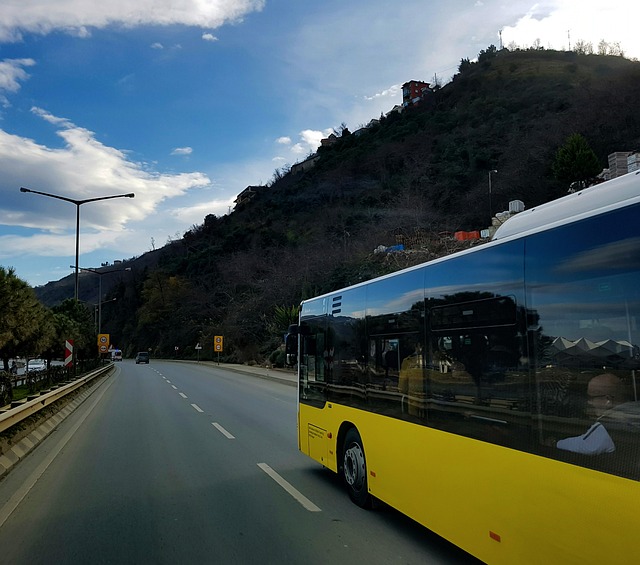 luxury bus rental