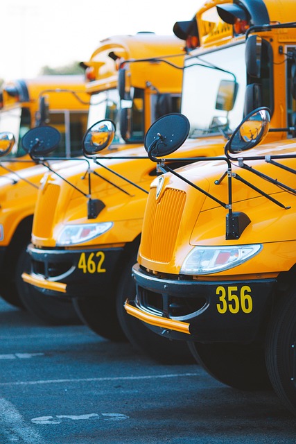 luxury bus rental