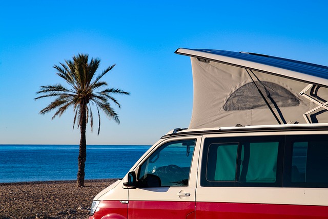 luxury bus rental