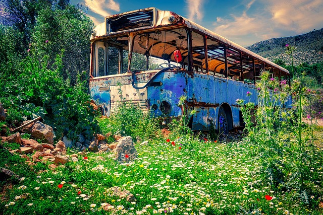 luxury bus rental