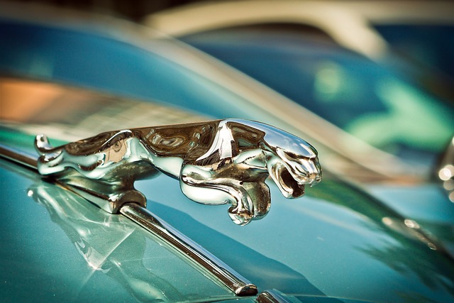 Experience Luxury Car Rental Dubai: Renting Sports Cars for Scenic Adventures