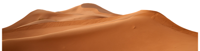 Luxury Dune Buggy