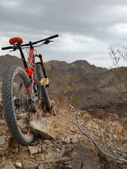 Luxury Quad Biking