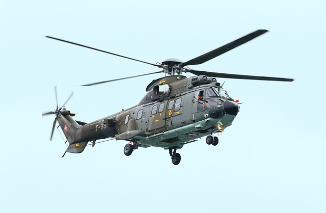 Majestic Skyline Helicopter