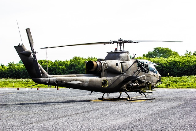 Majestic Skyline Helicopter