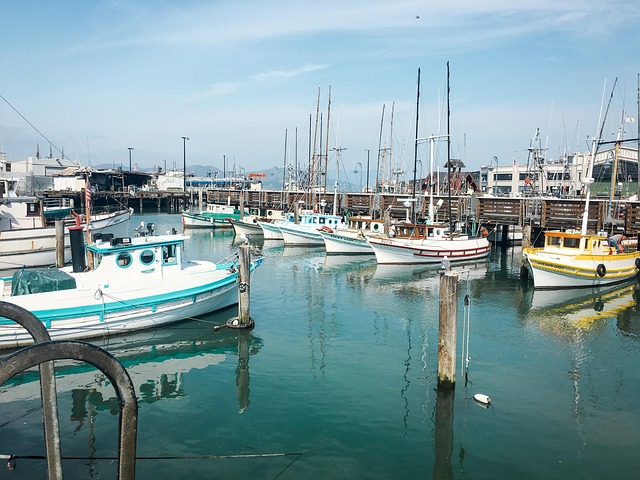 marina boat