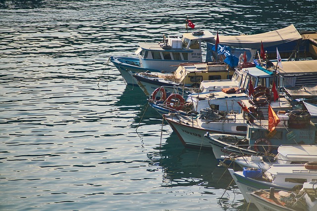 marina boat