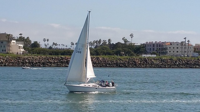 marina boat