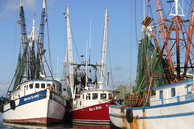 marina boat