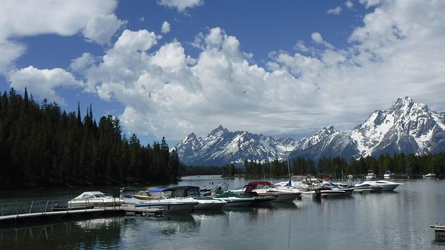marina-boat-640x480-30238941.jpeg