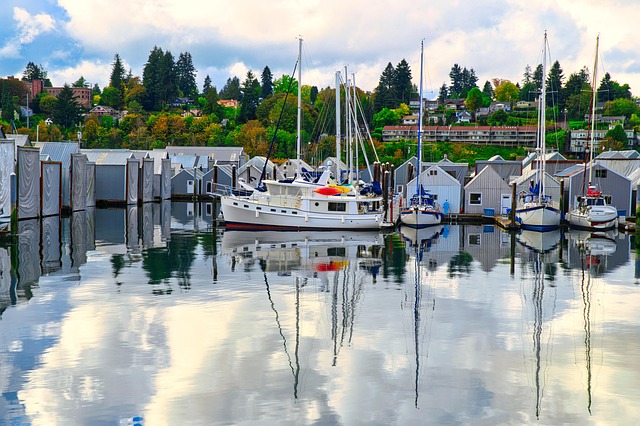 marina boat