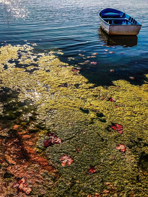 marina-boat-640x480-36149362.jpeg