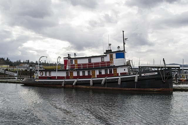 marina boat