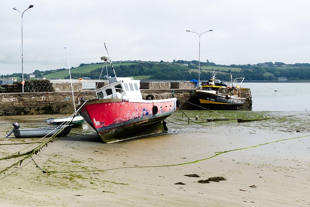 marina boat