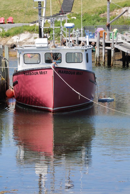 marina boat