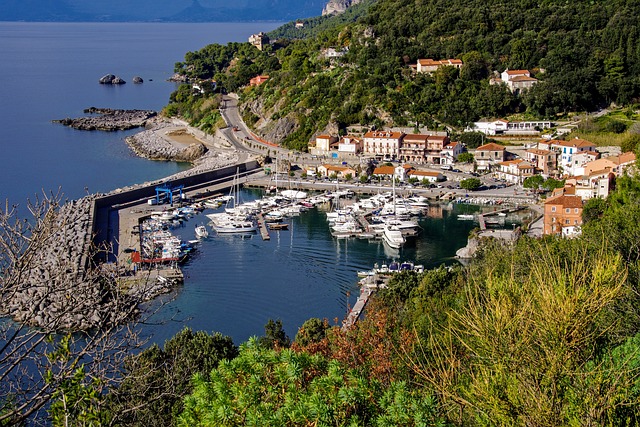 marina boat