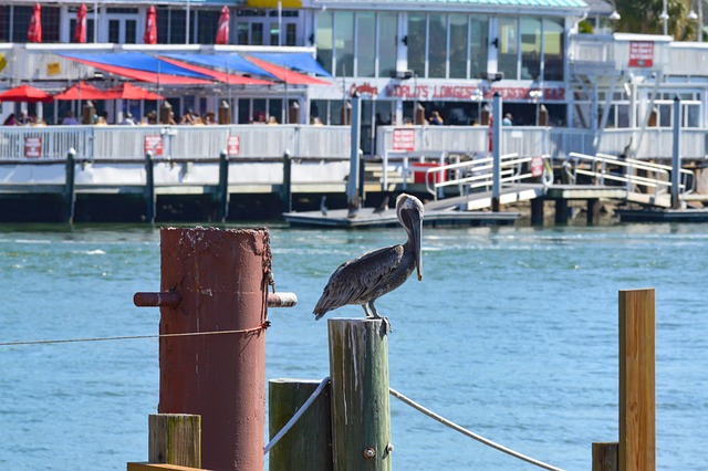 marina-boat-640x480-65870685.jpeg