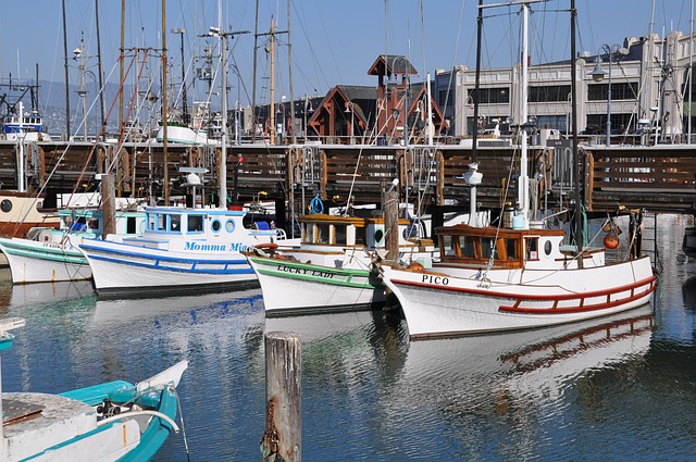 marina boat