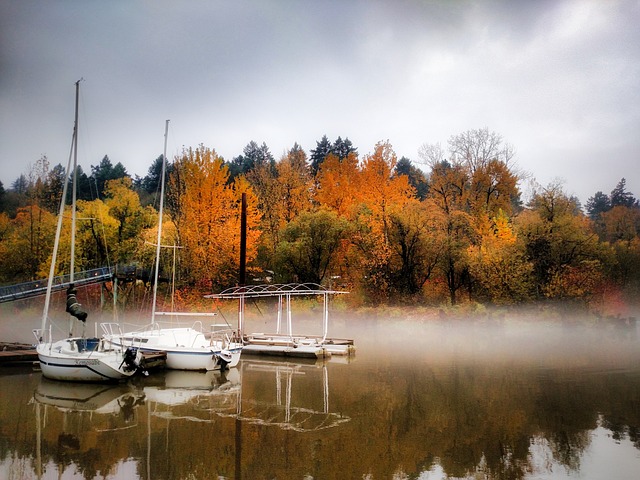 marina-boat-640x480-69287953.jpeg
