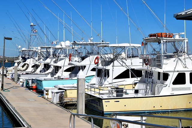 marina boat