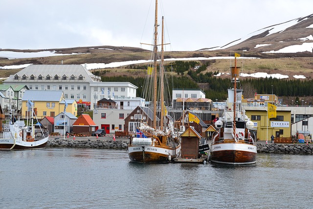 marina boat