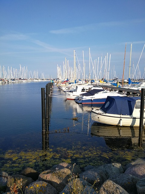 marina boat