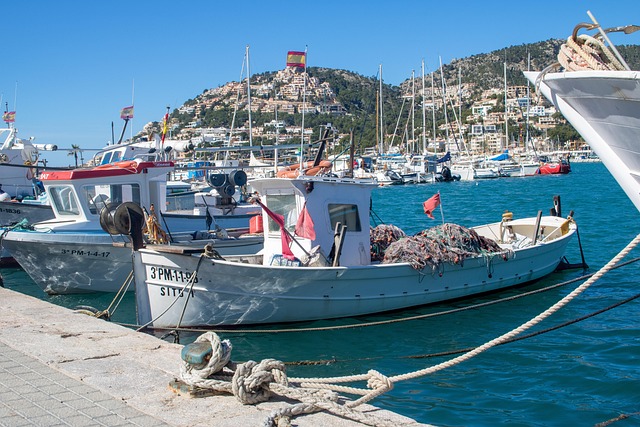 marina-boat-640x480-73799543.jpeg