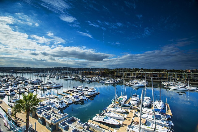 marina boat