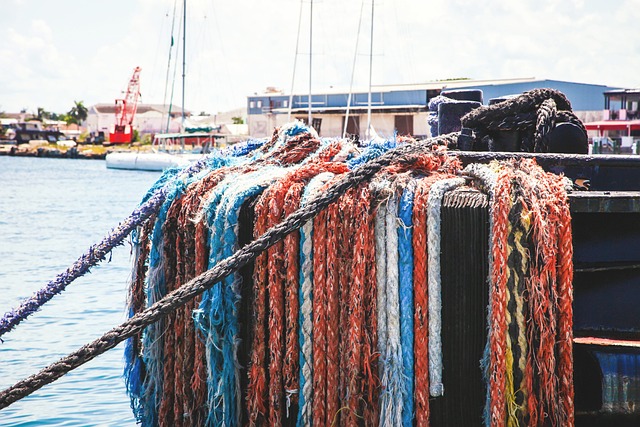 marina boat