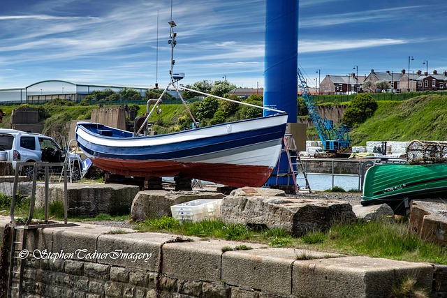 marina boat
