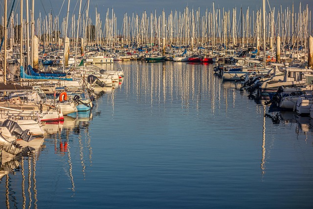 marina boat