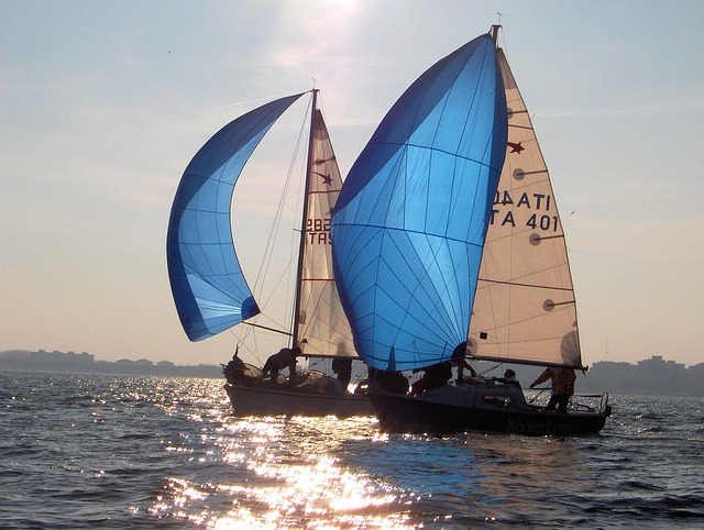 marina boat