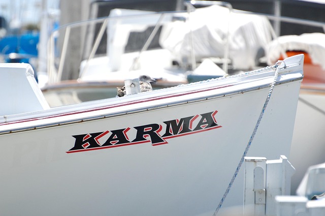 marina boat