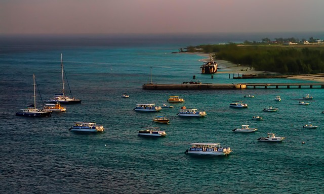 marina boat