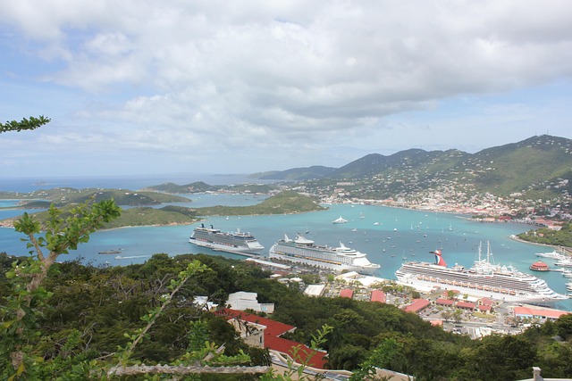 marina cruise