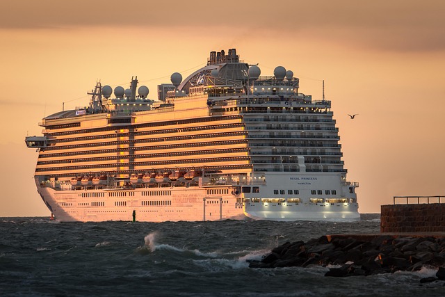 marina cruise