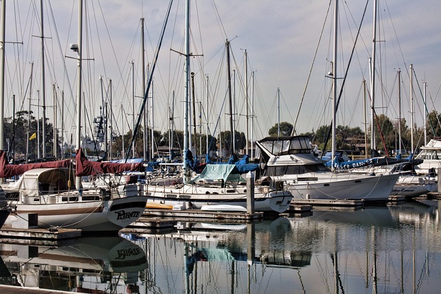 marina-cruise-640x480-19643020.jpeg