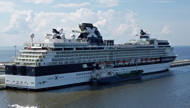 marina cruise
