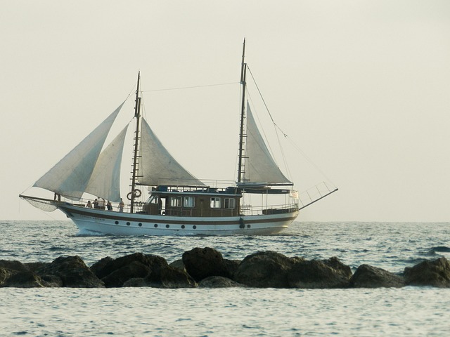 marina cruise