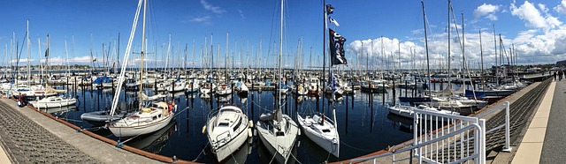 marina cruise