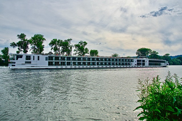 marina cruise