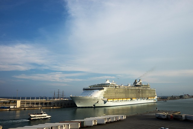 marina cruise