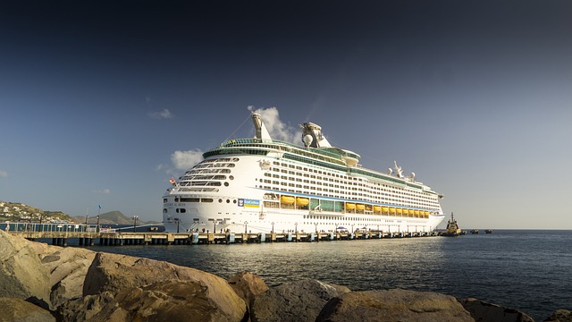 marina cruise