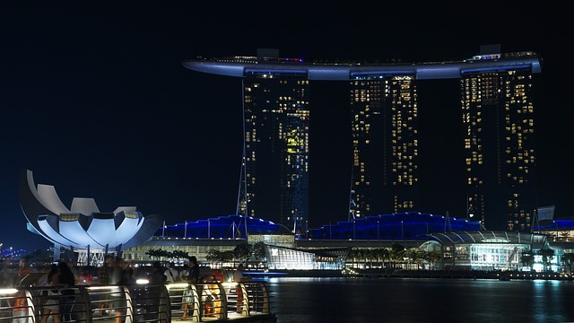 marina cruise