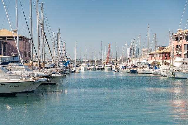 marina cruise