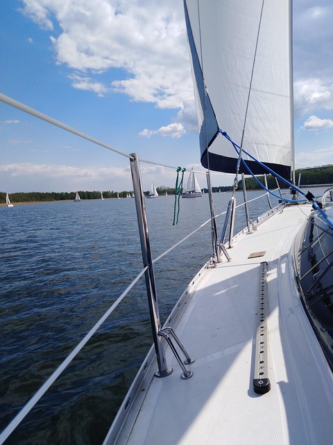 marina-cruise-dinner-640x480-48778659.jpeg