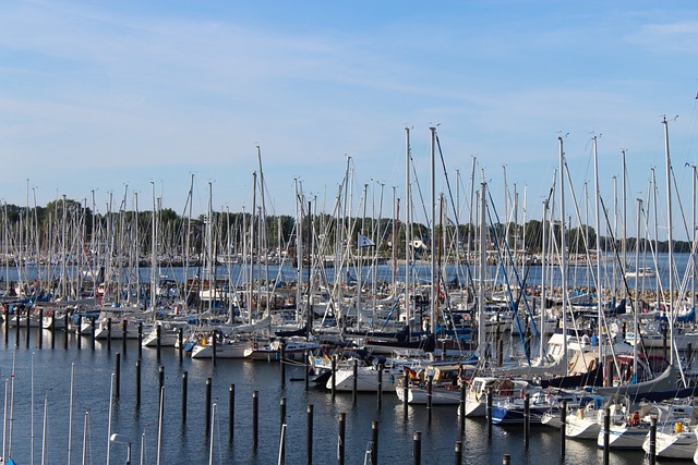 marina dhow