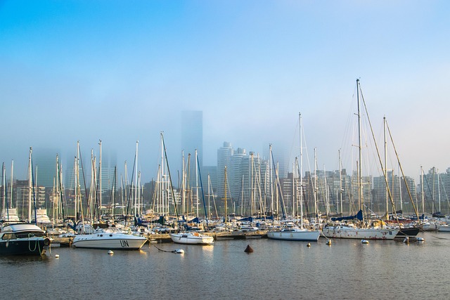 marina dhow