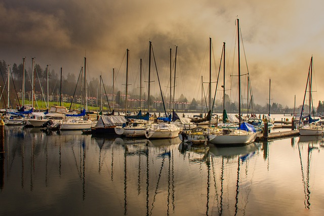 marina dhow